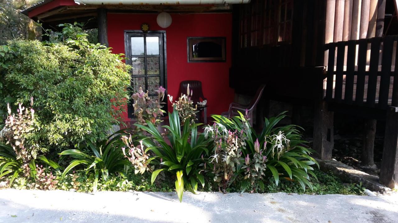 Liberta Homestay Tuk Tuk Esterno foto